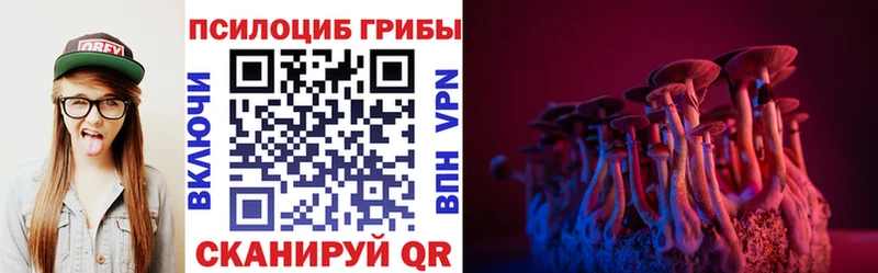 где купить наркотик  Фролово  Псилоцибиновые грибы MAGIC MUSHROOMS 