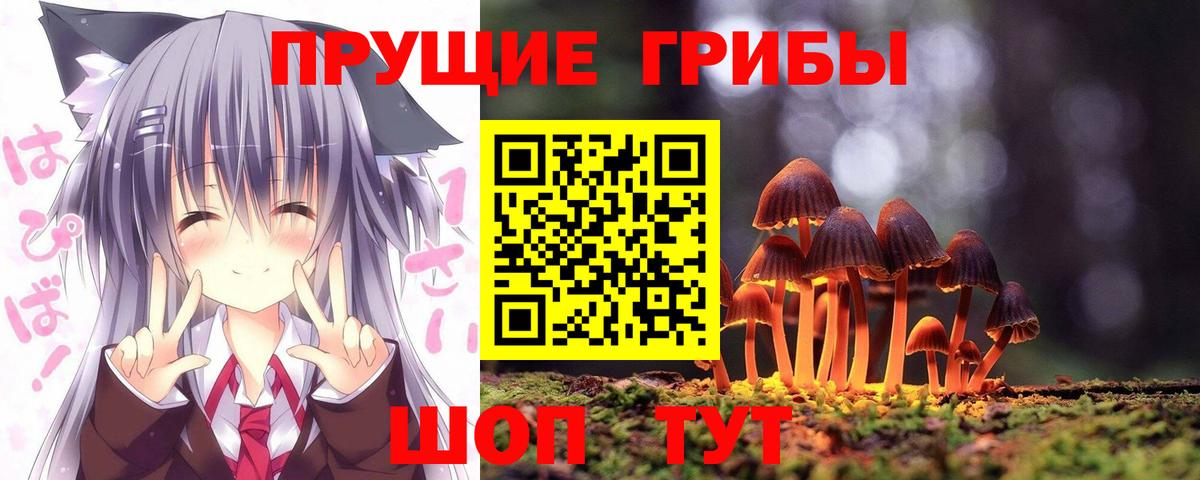 Фролово  Псилоцибиновые грибы ЛСД  Вход с VPN 